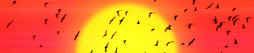 Migrating Your Website from WordPress to HubSpot