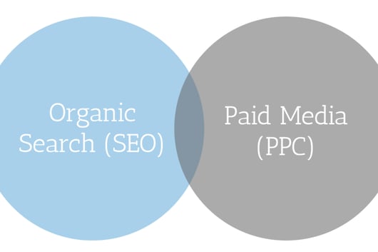 Which is better, SEO or PPC?